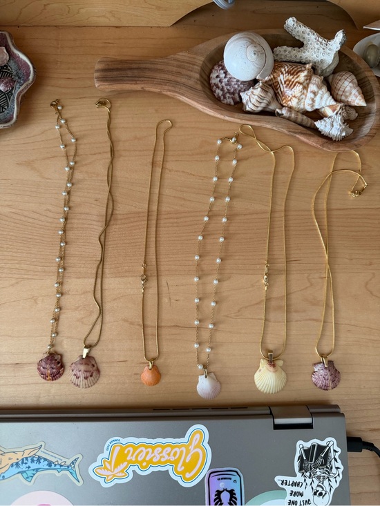 Jewelry - Coastline Color Shell Pendant Necklace - Pink, Orange, White, Yellow, Purple